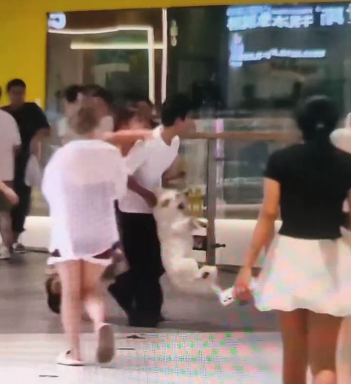長沙女商場放狗不用繩，遭男子掟狗兜巴星，但網民反勁贊打人者。