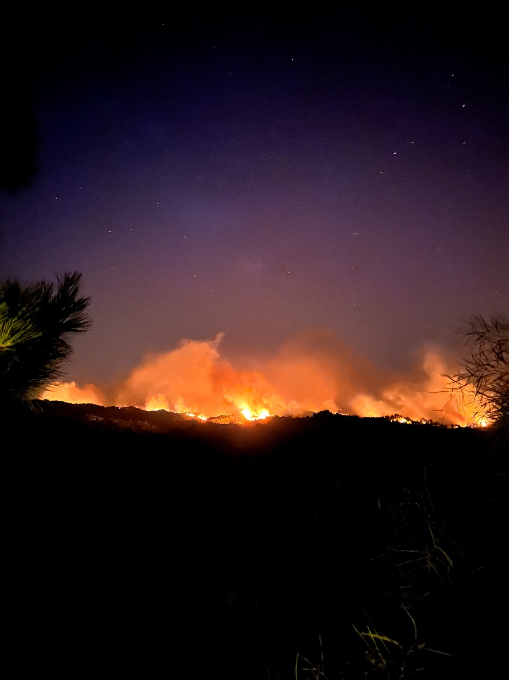 希腊罗得岛山火烧毁森林。路透社