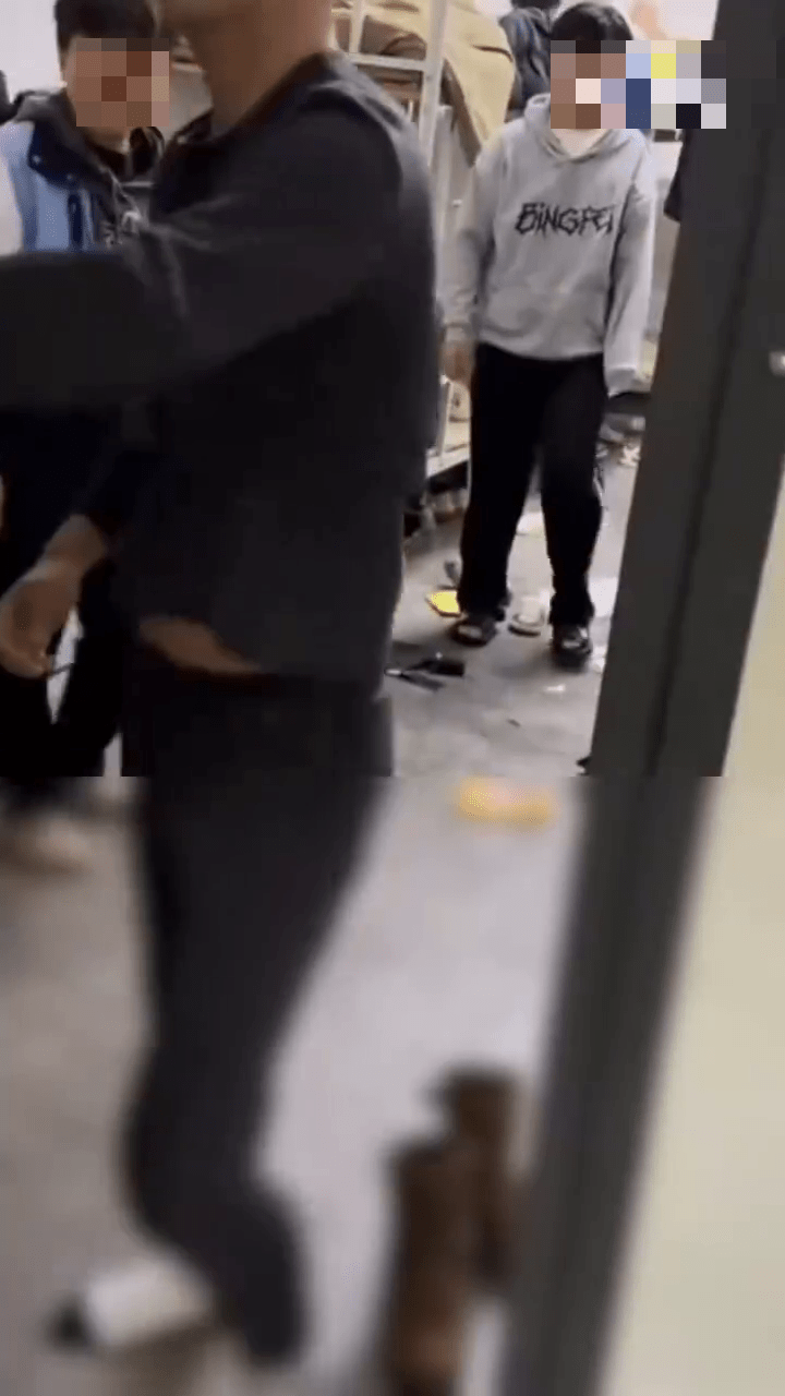 男生偷偷帶貓入宿舍,遭冷血教官監生摔死。 網片截圖 男生偷偷帶貓入宿舍,遭冷血教官監生摔死。 網片截圖