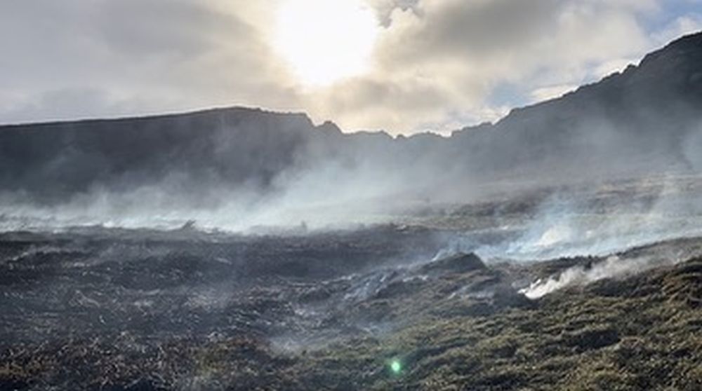 智利復活島部分地區日前發生山火。FB圖