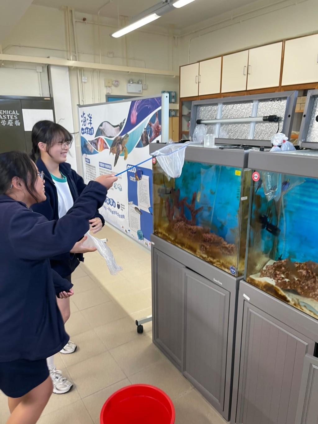 熱愛釣魚的同學，將自己釣到的魚帶回學校，安置於寵愛閣的魚缸之中。