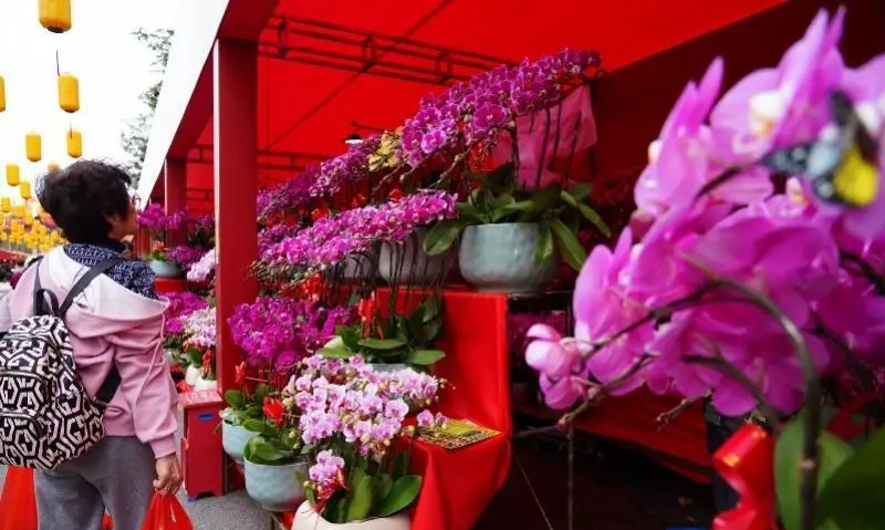 深圳愛國路迎春花市開幕。微信@深圳大件事