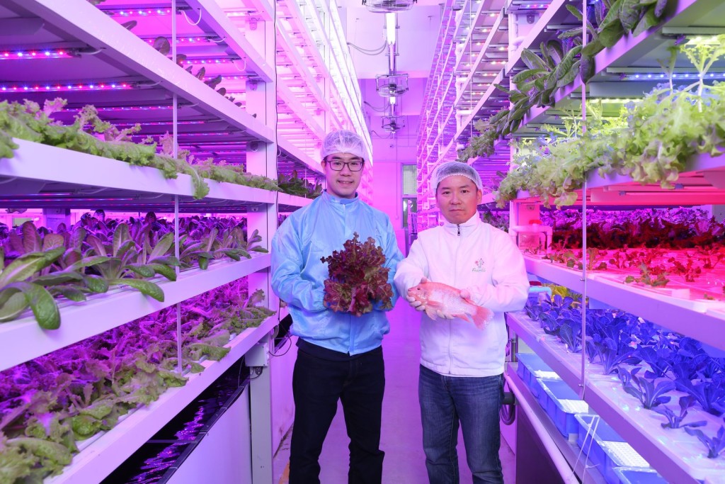 获HK Tech 300天使基金的绿芝园积极利用「垂直种植」模式及多项创新科技和系统，由城大化学系校友林志扬先生（左）和友人谭嗣籇先生（右）共同创立。