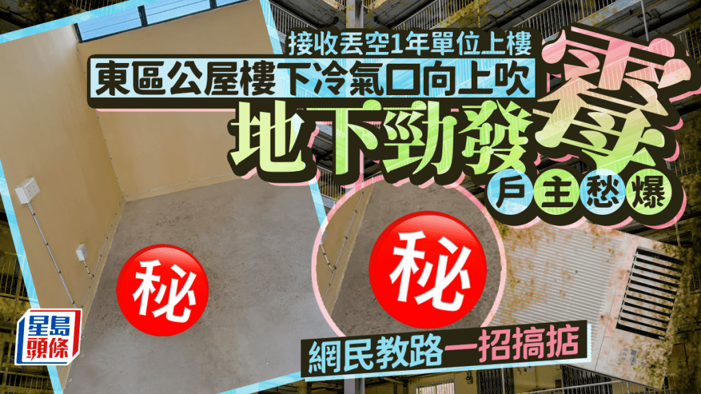 接收丟空1年單位 公屋樓下冷氣口向上吹 地下勁發霉戶主愁爆 網民教路一招搞掂