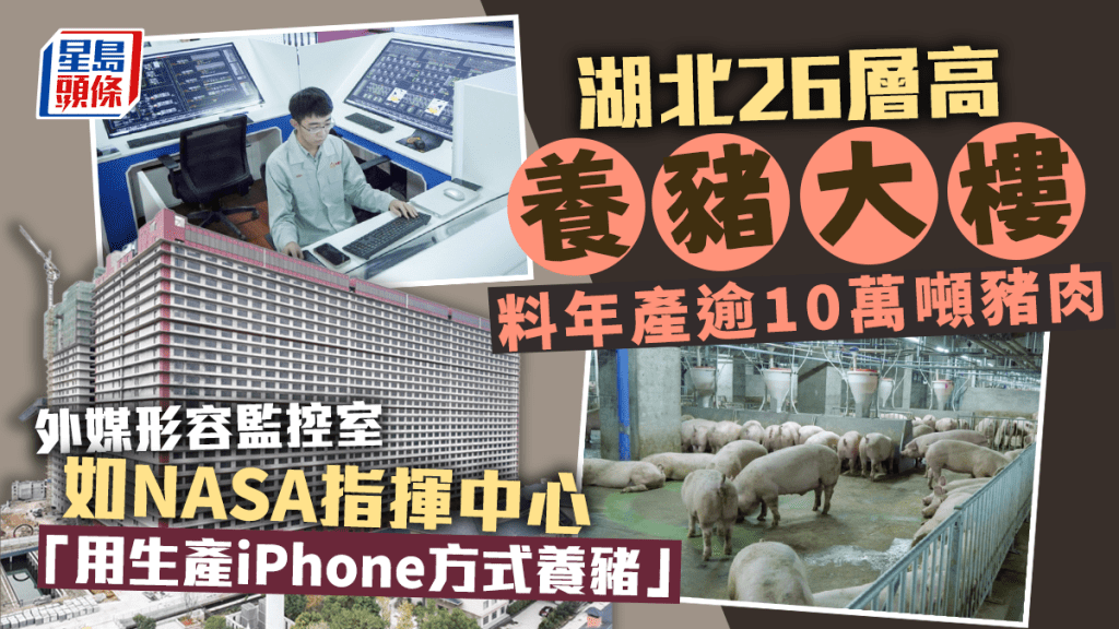 中国湖北鄂州郊区的养猪大楼。