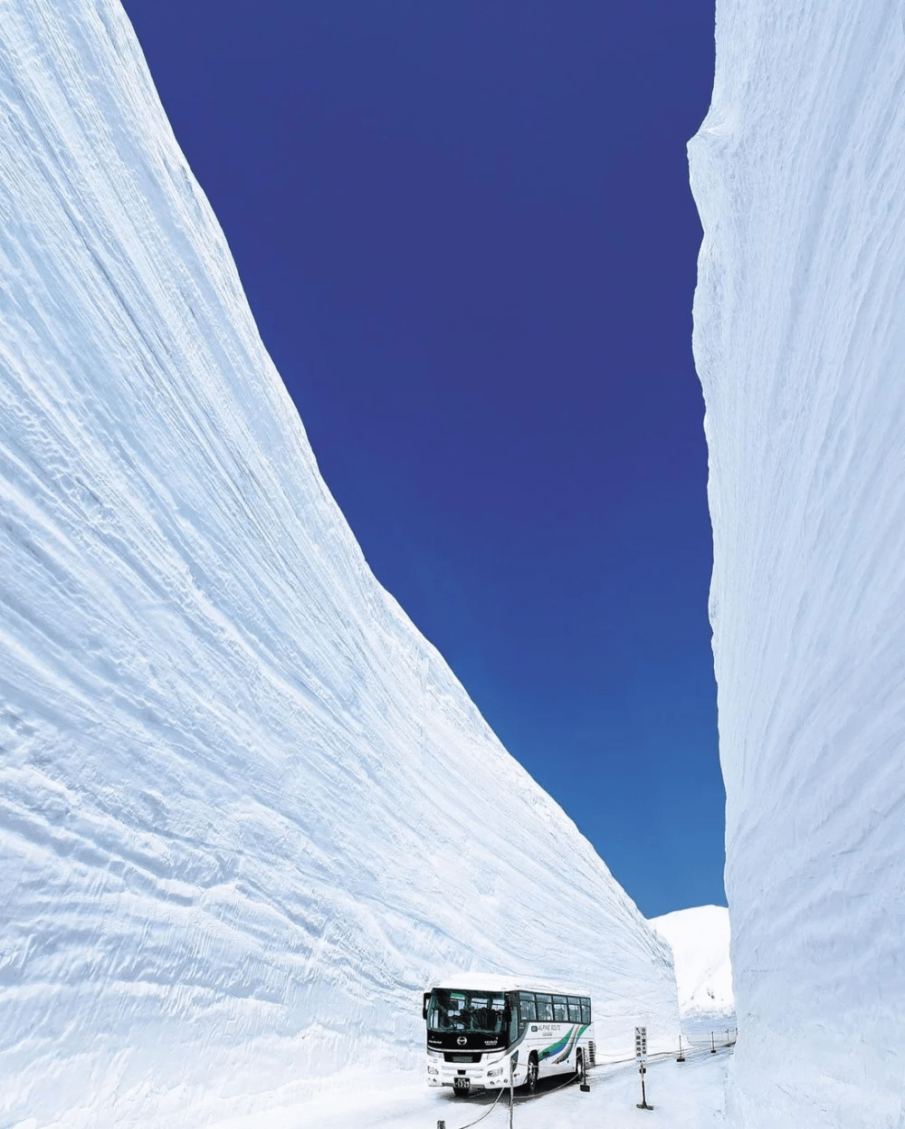 立山黑部的雪壁。（立山黒部アルペンルート）