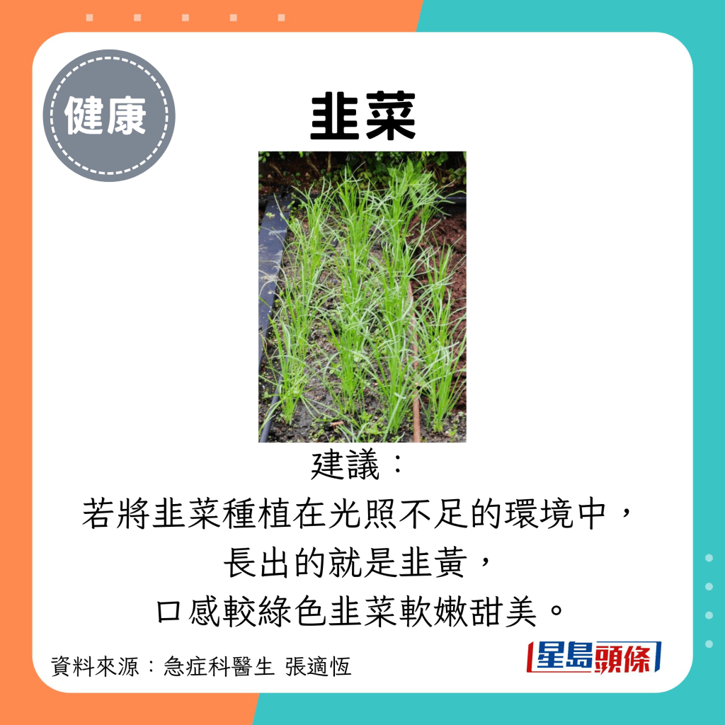 韭菜：建議： 若將韭菜種植在光照不足的環境中， 長出的就是韭黃， 口感較綠色韭菜軟嫩甜美。