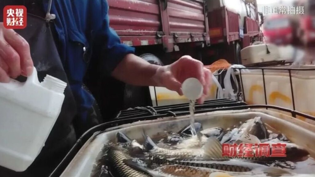 内地有水产市场，为保持水产卖相，不惜添加「鱼麻药」让鱼休眠。央视截图