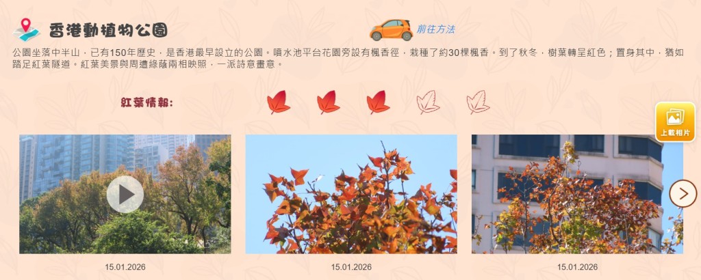 康文署「康文賞花情報」「紅葉情報」截圖