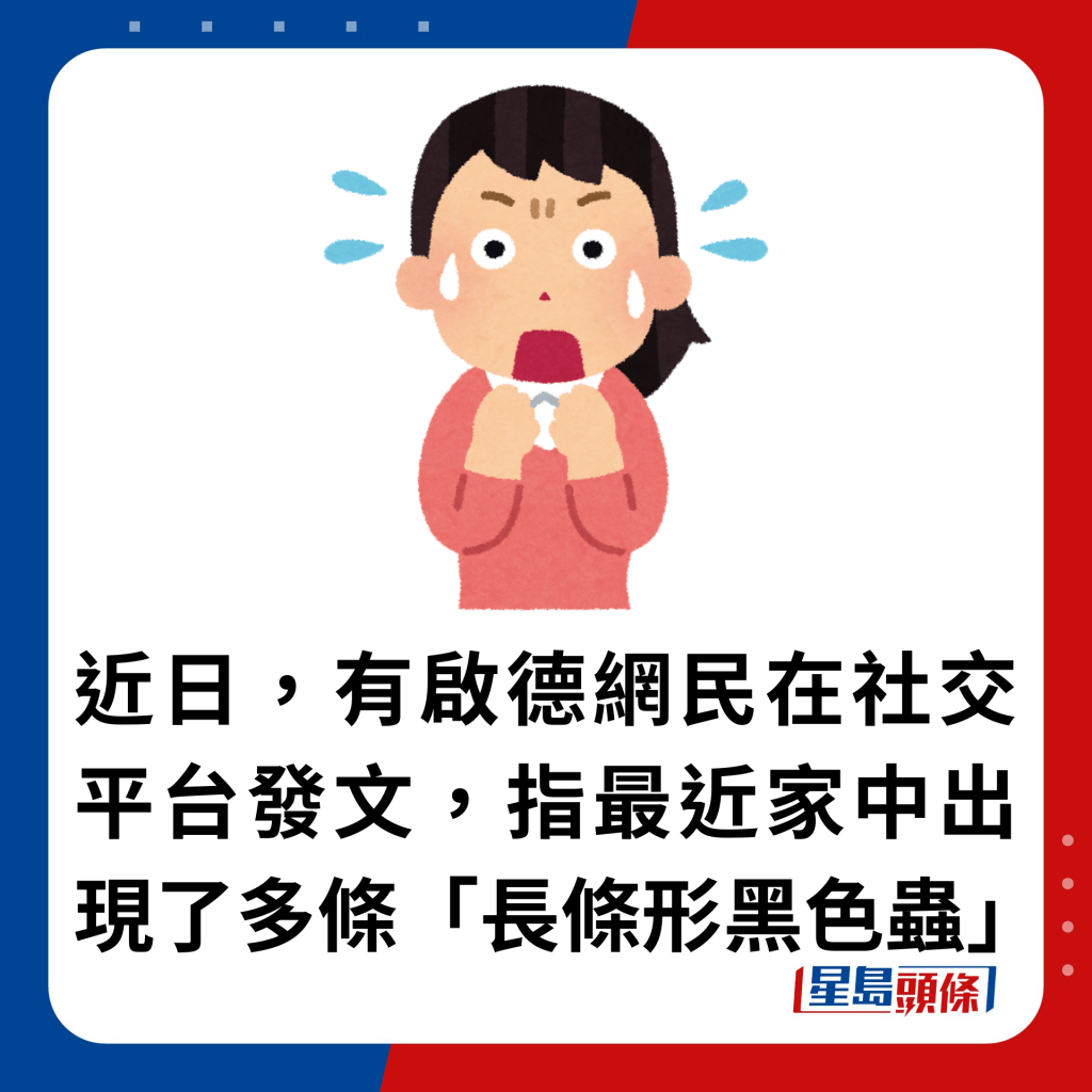 近日，有啟德網民在社交平台發文，指最近家中出現了多條「長條形黑色蟲」