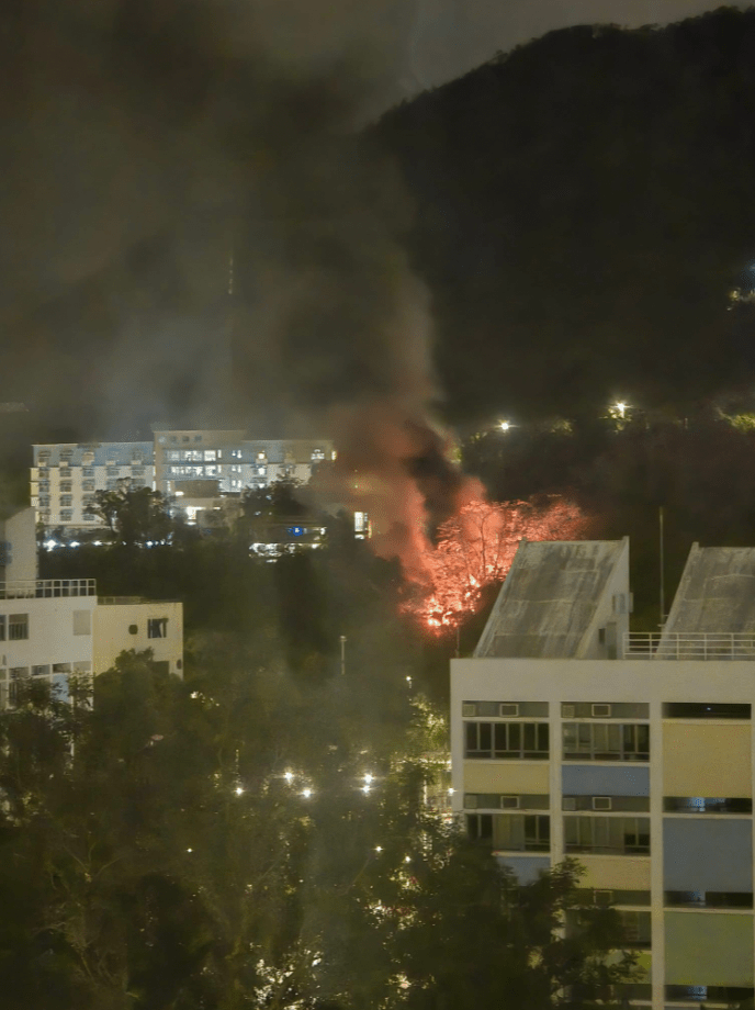 一輛疑似貨VAN和一輛載有密斗小貨車陷火海，且波及附近山坡樹木。網上圖片