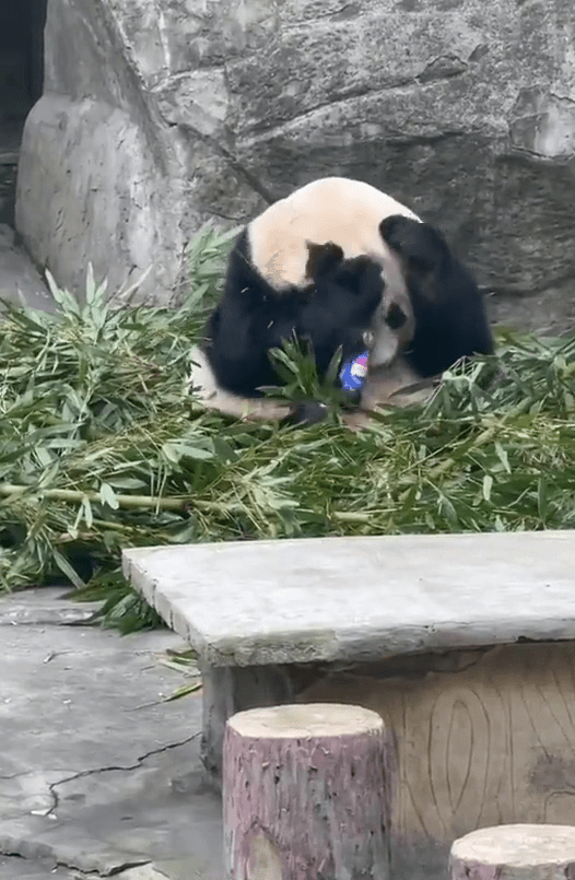 「蘭香」疑似把玩被掟入園區的可樂樽。