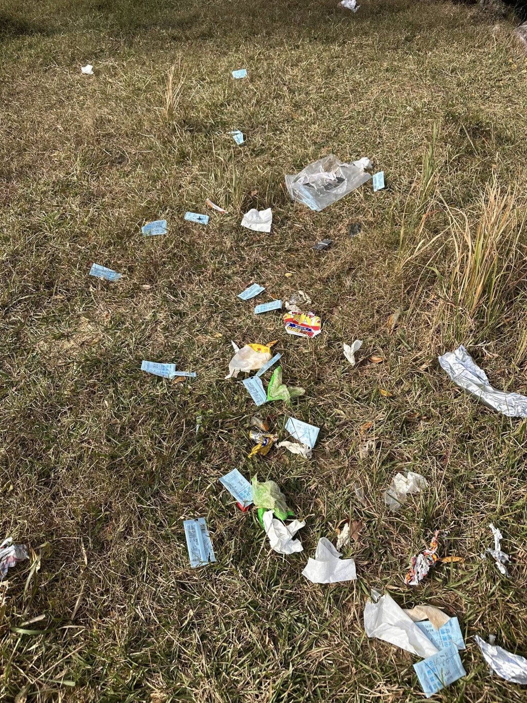 事主表示,昂坪營地不時有大型野豬出沒,牠們容易被食物及垃圾味道吸引。Kei MK @FB香港人露營分享谷 事主表示,昂坪營地不時有大型野豬出沒,牠們容易被食物及垃圾味道吸引。Kei MK @FB香港人露營分享谷