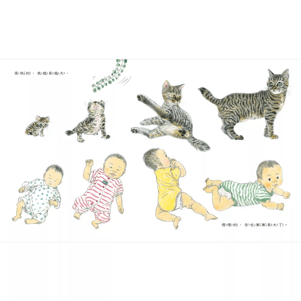 （圖片來源：受訪者提供）