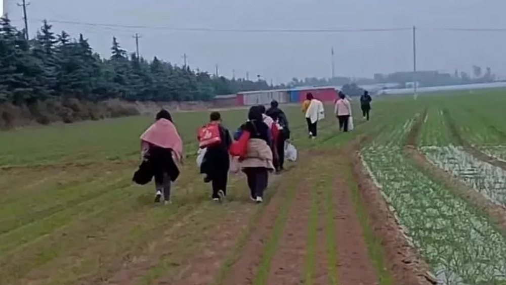 郑州富士康员工拎著大包小包和厚重衣物穿越田野逃离厂区。