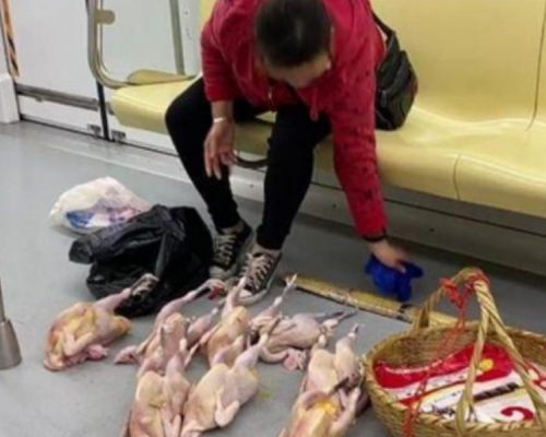 南京大媽在地鐵車廂內賣雞。網圖