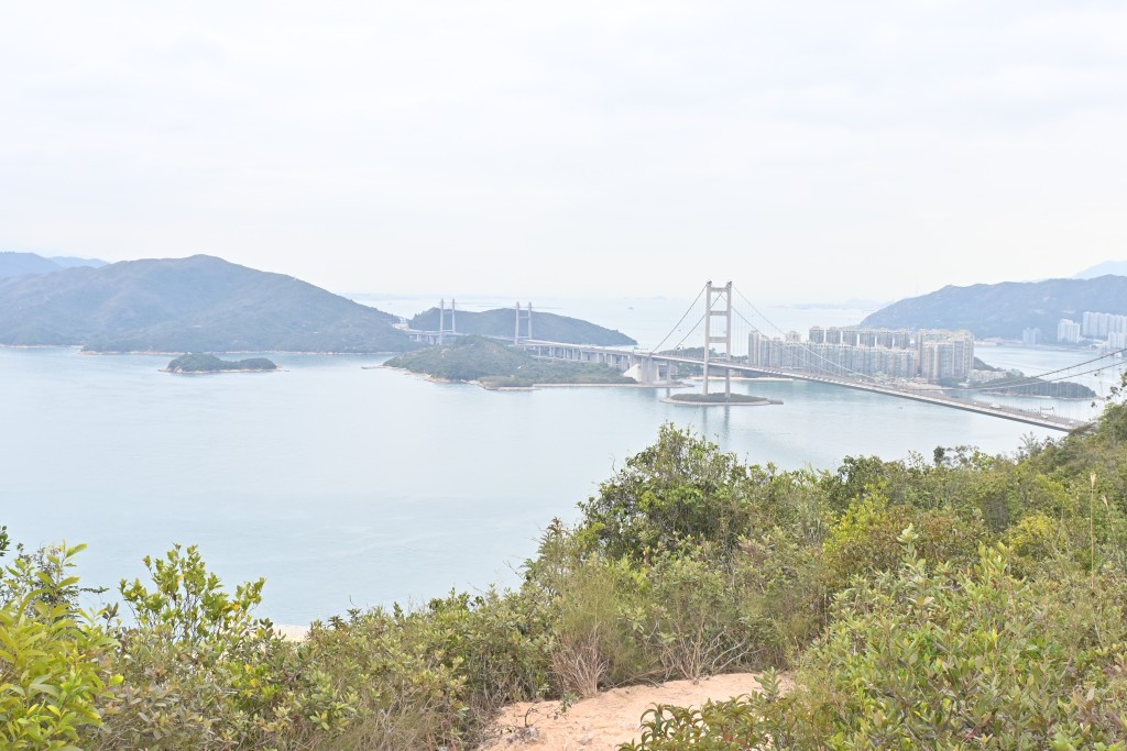 圖為青衣自然徑。