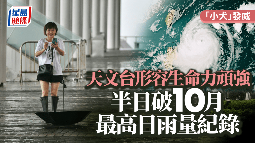 颱風「小犬」逐步遠離香港，天文台今日發表網誌，形容「小犬」在橫過南海期間，充滿著頑強生命力。資料圖片