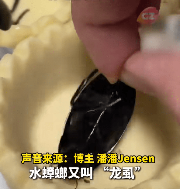 龍蝨（又稱水曱甴）屬廣東著名特色傳統昆蟲美食，被譽為「水中人蔘」。廣州廣播電視台
