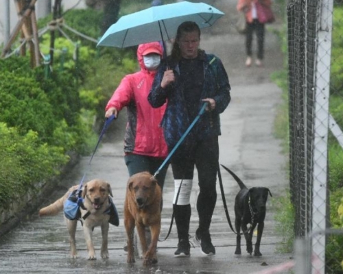 天文台預料今日狂風雷暴。資料圖片