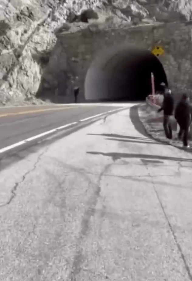 據媒體報道及現場流出的影像顯示，意外發生於聖加布里埃爾山脈的安吉利斯山脊公路（Angeles Crest Highway）。X@Bricktop_NAFO（下同）