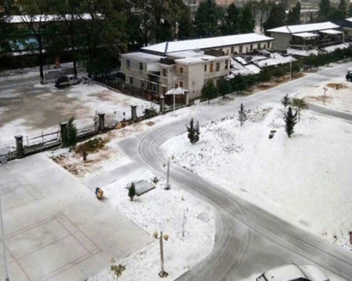 多個地區都鋪上白雪。網上圖片