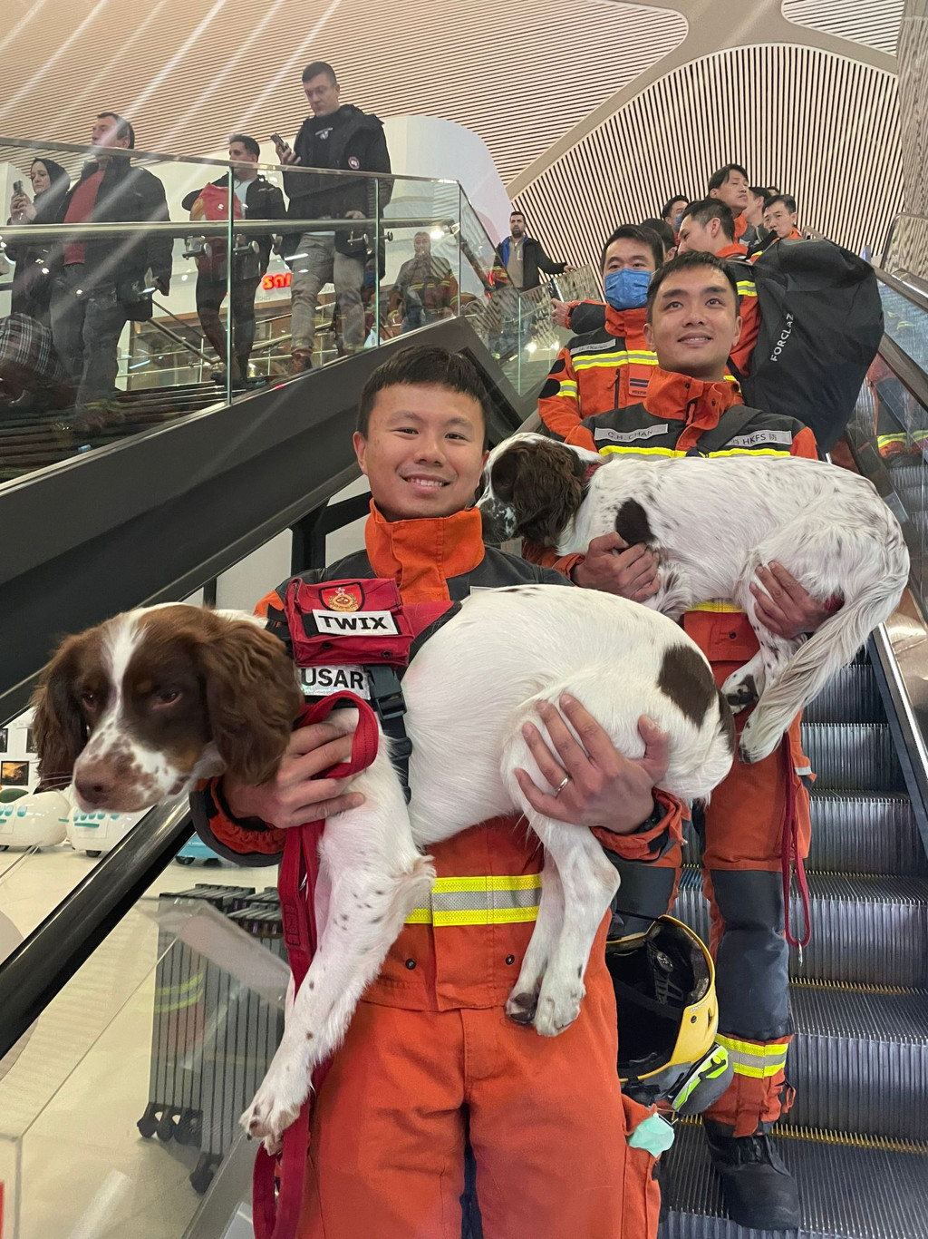 消防搜救犬Twix（前）及Umi（后），今年曾远赴土耳其哈地震灾区协助搜救。