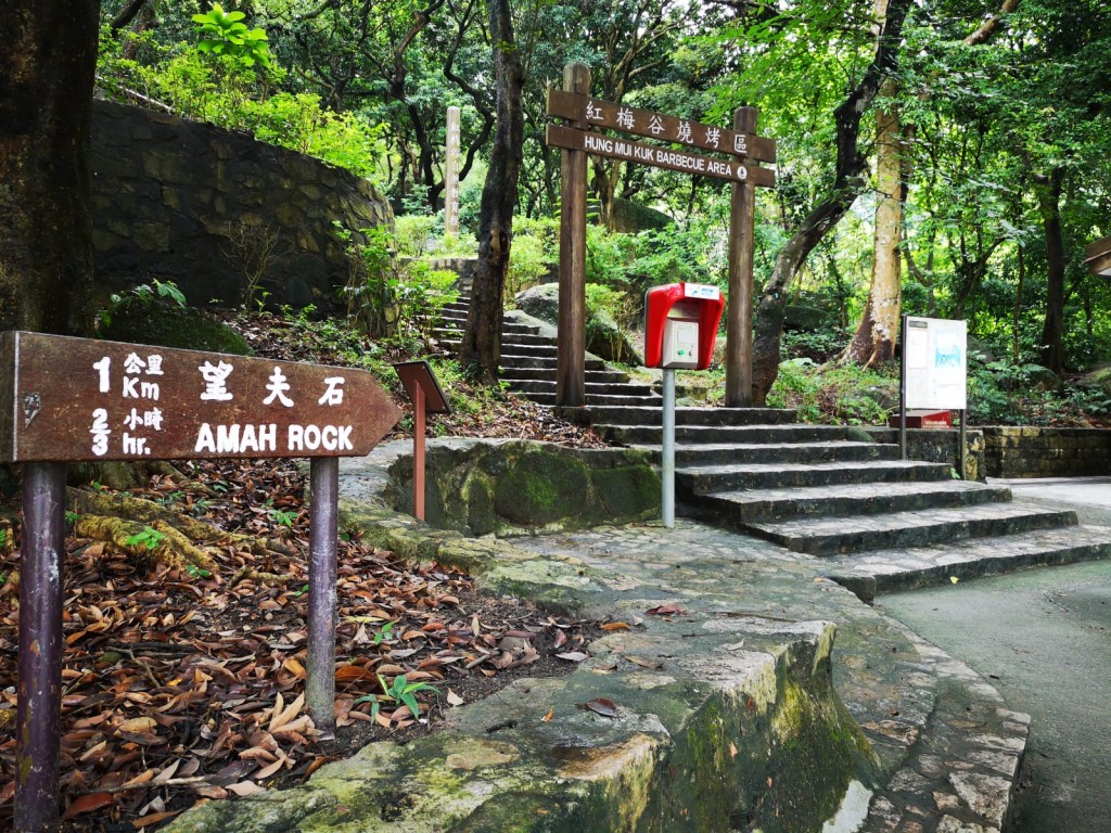 一名清潔工人於獅子山郊野公園工作期間誤墮下3米山坑中。 梁國峰攝
