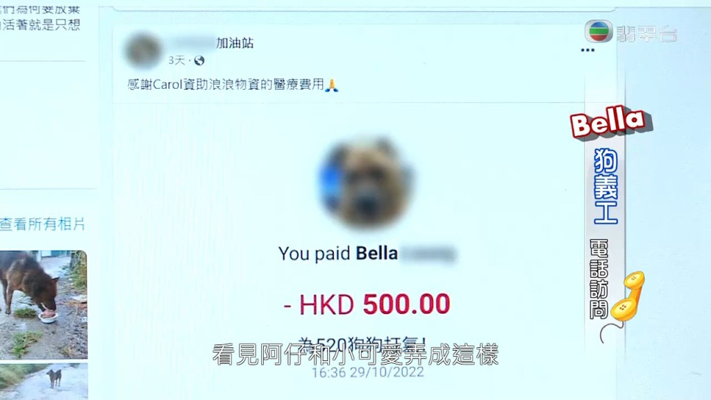 Bella反駁指並冇利用狗狗籌款：「我哋絕對冇，全部都係有心嘅愛心人士，見到小可愛同阿仔搞到咁，先至願意資助佢哋睇醫生，係自發性嘅。」