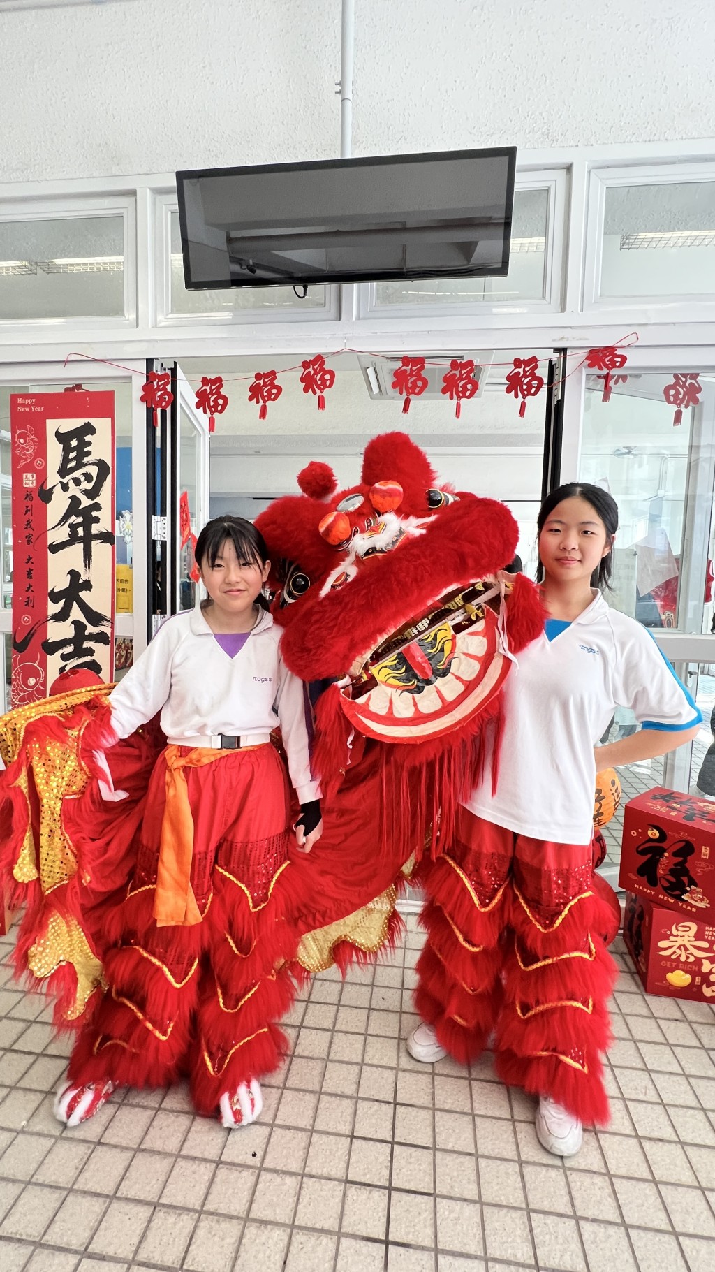 （图片来源：作者提供）