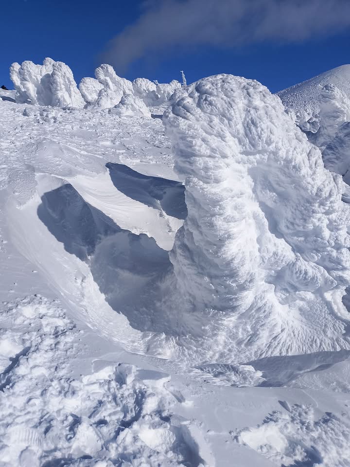 樹冰周圍的雪鬆軟得像流沙一樣，越掙扎陷得越深。 facebook / Hikohiro Chin