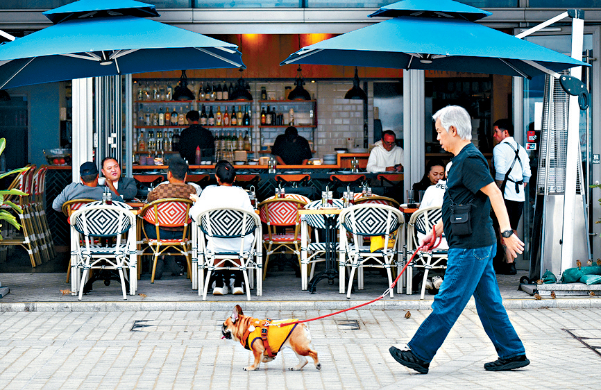 多間寵物酒店提早爆滿。