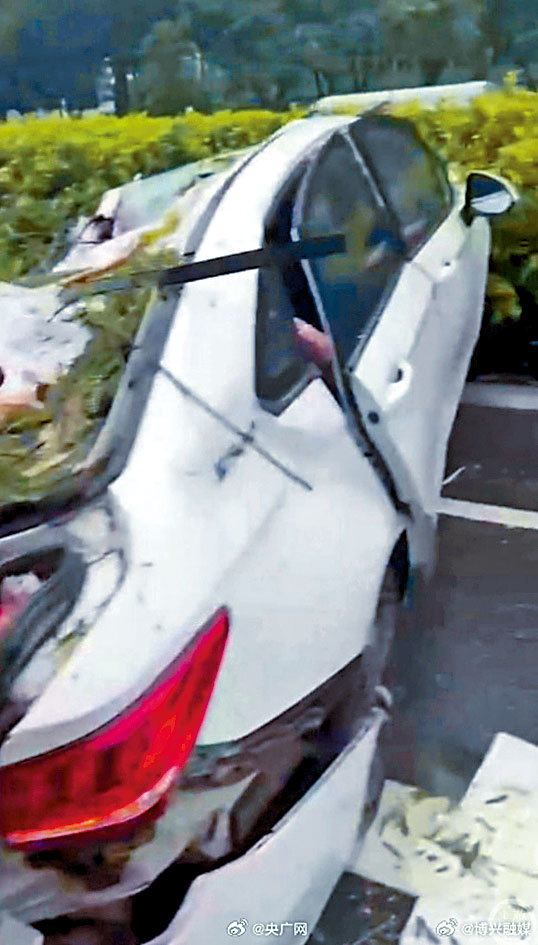 被狂風吹倒的大樹壓中私家車，司機當場身亡，女乘客受傷被救出。