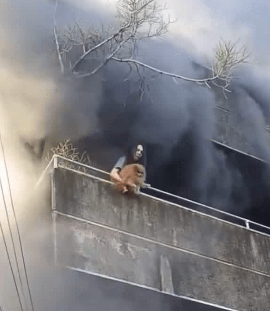 儘管現場的救援民眾不斷催促女子趕快逃生,但她沒有聽從,而是關心愛犬的安危,她先後抱出一隻黃毛狗狗和一隻白毛狗狗,小心地從露台拋下。FB@IvyBaya/ FB@MANILA BULLETIN 儘管現場的救援民眾不斷催促女子趕快逃生,但她沒有聽從,而是關心愛犬的安危,她先後抱出一隻黃毛狗狗和一隻白毛狗狗,小心地從露台拋下。FB@IvyBaya/ FB@MANILA BULLETIN