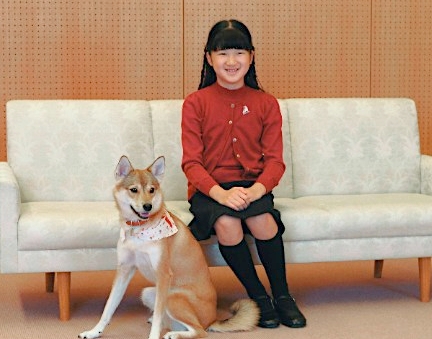 2011年11月