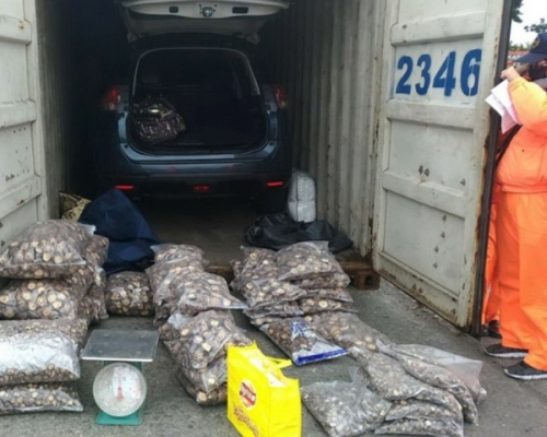 當地執檢人員於一輛車的車尾箱及備用輪胎夾層中查獲43包疑似大陸冬菇,重量約90公斤。 網上圖片