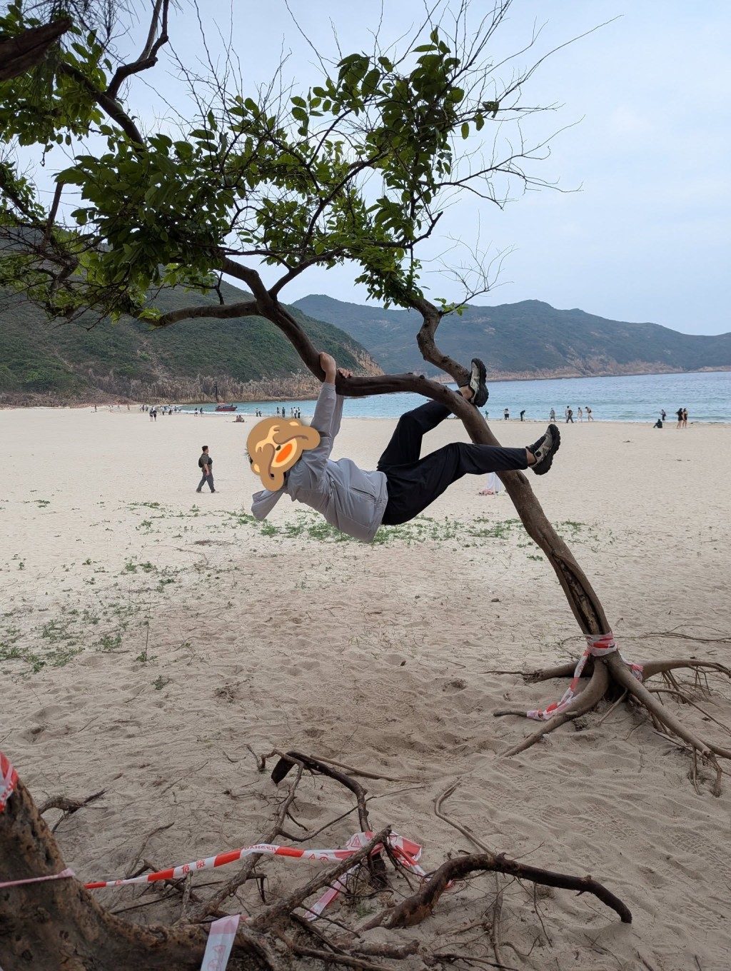 照片中可見,遊客所抱樹木十分纖細,因受壓出現傾倒。(相片來源:由綠色希望提供) 照片中可見,遊客所抱樹木十分纖細,因受壓出現傾倒。(相片來源:由綠色希望提供)