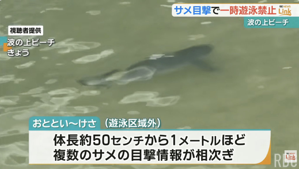 18日至20日上午期間，波之上海灘防鯊網外海域先後數次有人目擊鯊魚游弋。YouTube@RBC NEWS（下同)