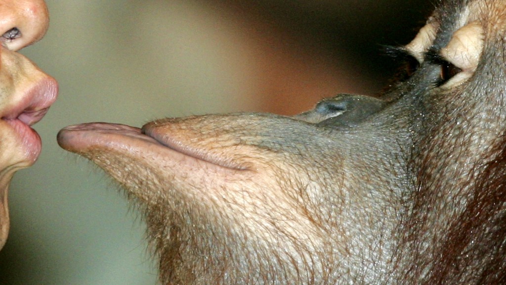 接吻也是共享口腔微生物的行為。 路透社 接吻也是共享口腔微生物的行為。 路透社