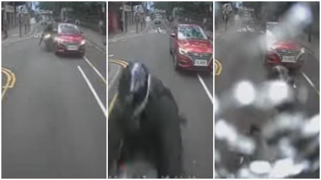 紅色私家車與電單車相撞，鐵騎士衝前撼爆客貨車尾的玻璃窗。fb 馬路的事討論區