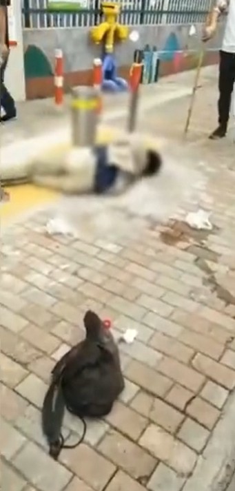 影片截圖