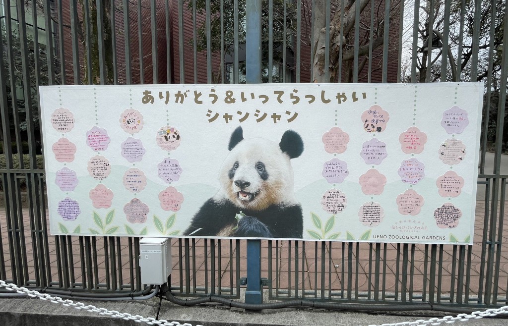 大熊貓香香的飼養員留下暖心的祝福語。 網上圖片
