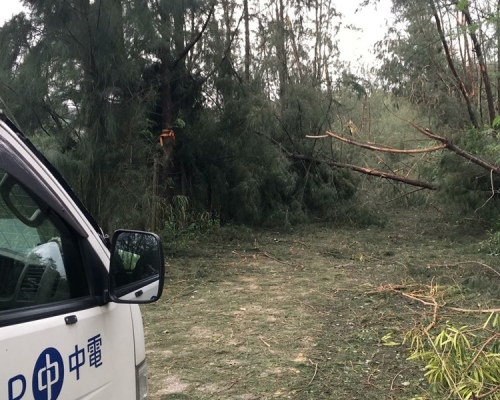 現場道路出現樹木倒塌或其他原因受阻封路。中華電力有限公司圖片