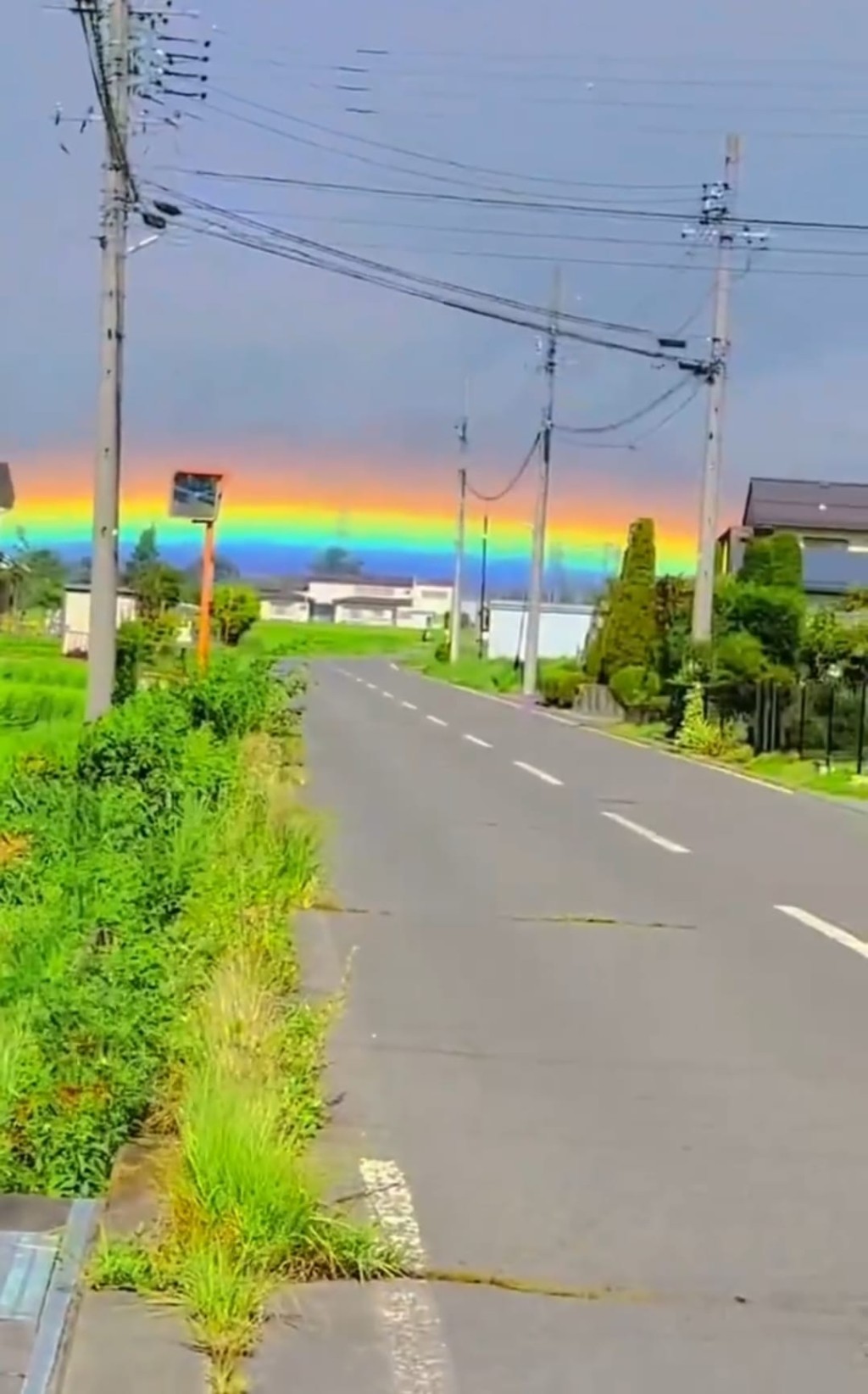 網民形容為奇景。網圖