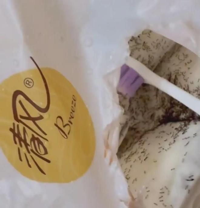 内地品牌清风生产的抽纸,被指有大量蚂蚁。 内地品牌清风生产的抽纸,被指有大量蚂蚁。
