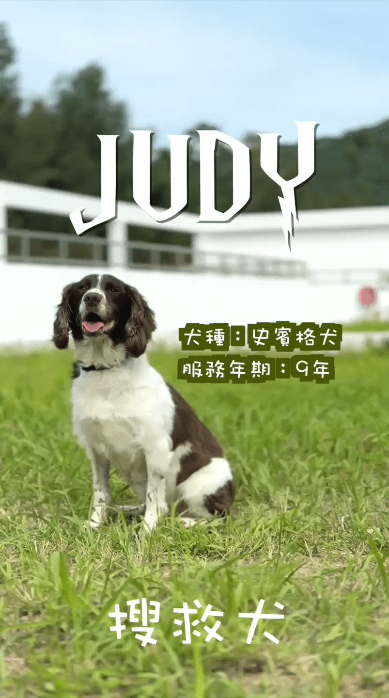 消防處搜救犬Judy。