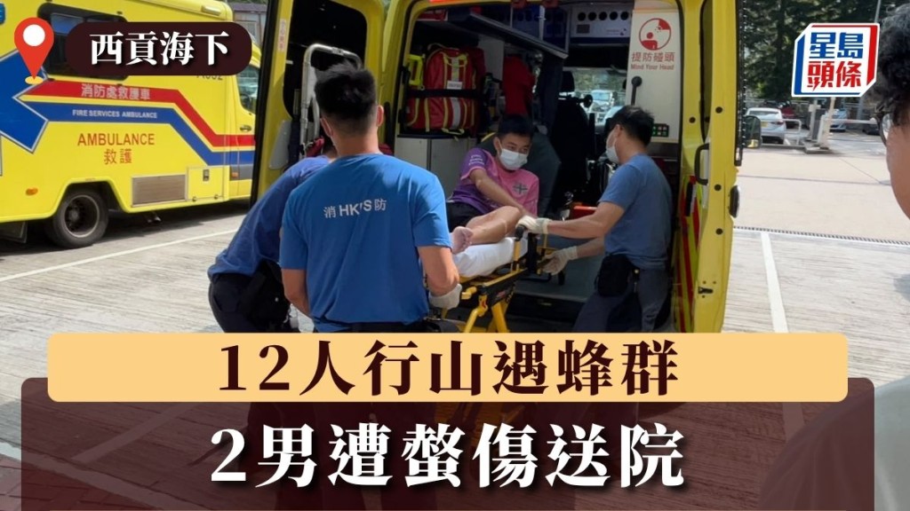 西貢海下12人行山遇蜂群 2男遭螫傷送院