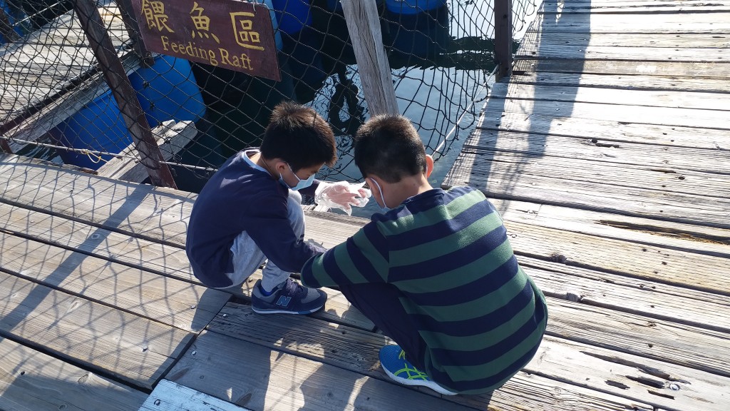 兩兄弟嘗試漁排無鈎釣魚。