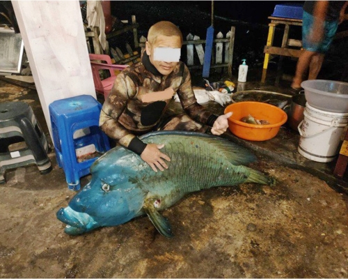台東2男疑獵殺瀕臨絕種的「龍王鯛」,並放上網炫耀。網圖