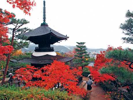 在嵐山嵯峨野地區深處的常寂光寺，是京都賞紅葉的秘境。